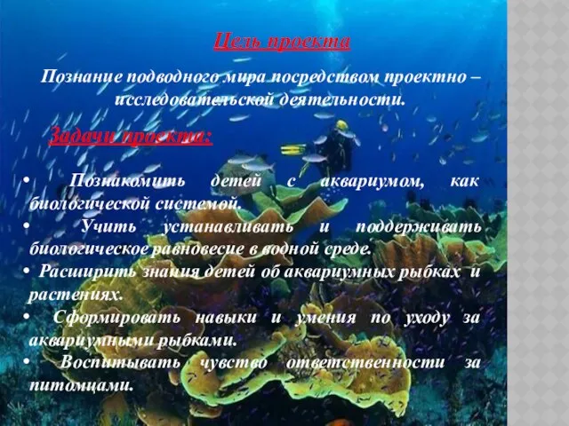 Цель проекта Познание подводного мира посредством проектно – исследовательской деятельности. Задачи