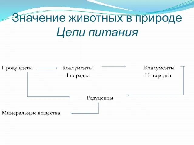 Значение животных в природе Цепи питания Продуценты Консументы Консументы I порядка