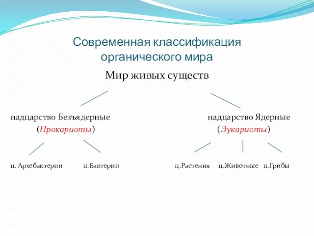 Современная классификация органического мира Мир живых существ надцарство Безъядерные надцарство Ядерные