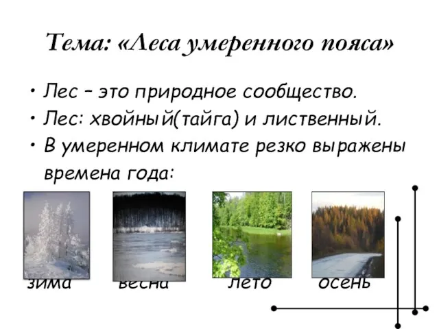 Тема: «Леса умеренного пояса» Лес – это природное сообщество. Лес: хвойный(тайга)