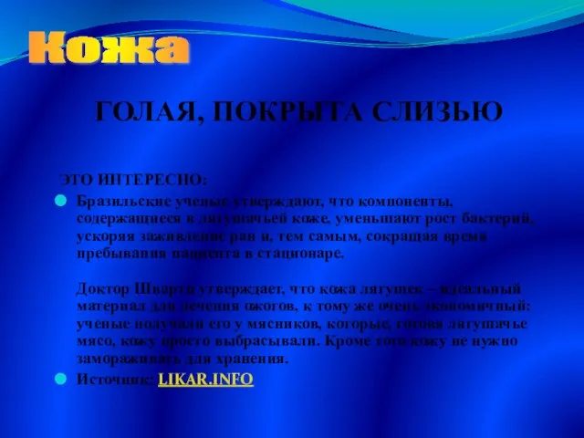 ЭТО ИНТЕРЕСНО: Бразильские ученые утверждают, что компоненты, содержащиеся в лягушачьей коже,