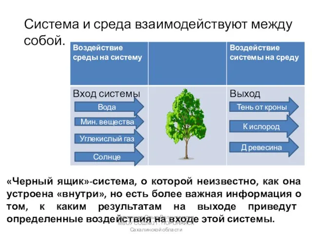 Система и среда взаимодействуют между собой. Д ревесина К ислород Тень