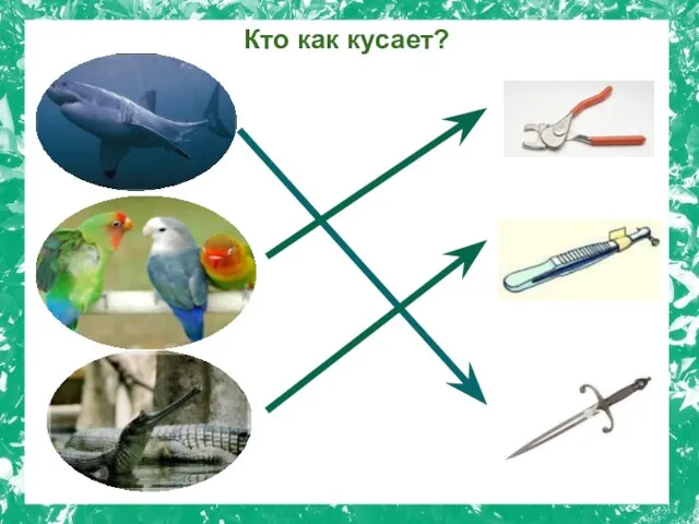 Кто как кусает?