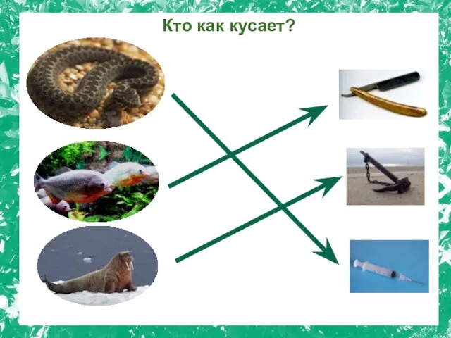 Кто как кусает?