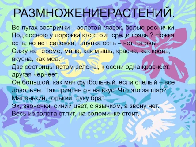 РАЗМНОЖЕНИЕРАСТЕНИЙ. Во лугах сестрички – золотой глазок, белые реснички. Под сосною