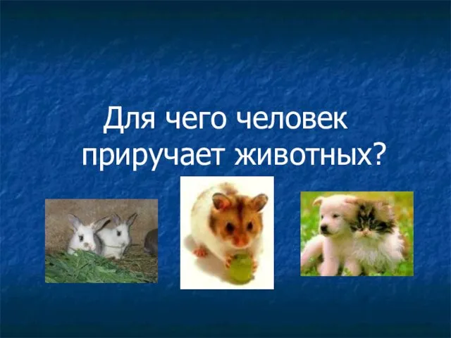 Для чего человек приручает животных?