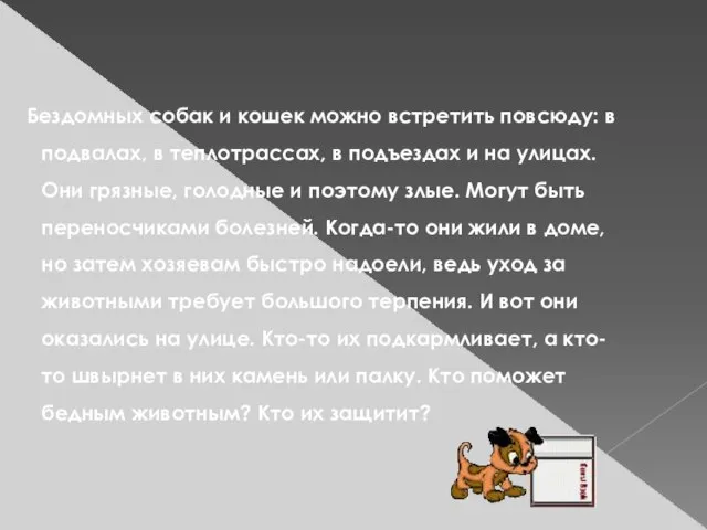 Бездомных собак и кошек можно встретить повсюду: в подвалах, в теплотрассах,