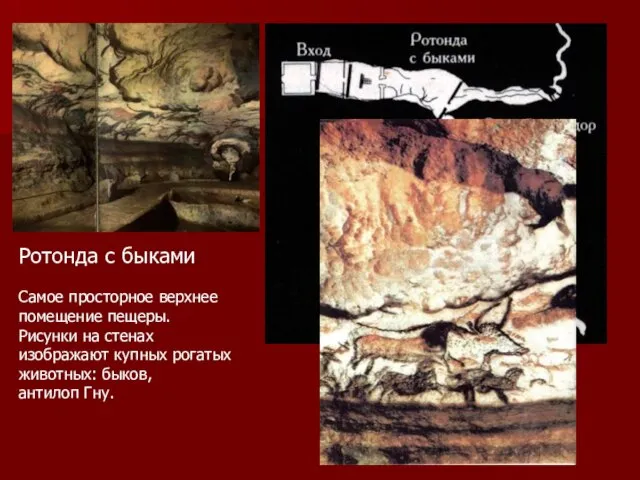 Ротонда с быками Самое просторное верхнее помещение пещеры. Рисунки на стенах