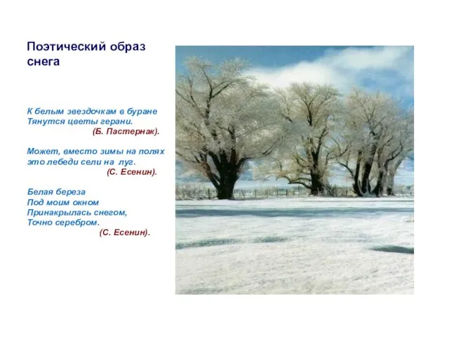 Поэтический образ снега К белым звездочкам в буране Тянутся цветы герани.