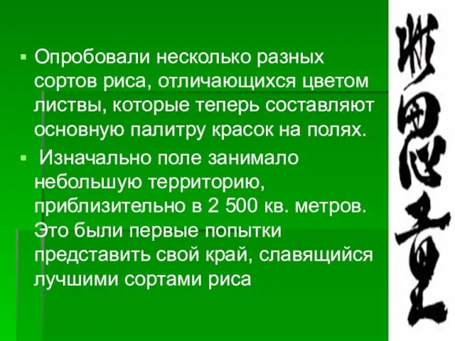 Опробовали несколько разных сортов риса, отличающихся цветом листвы, которые теперь составляют