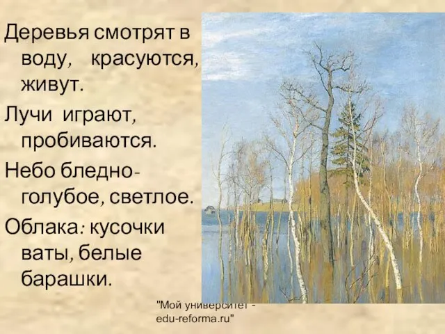 "Мой университет - edu-reforma.ru" Деревья смотрят в воду, красуются, живут. Лучи