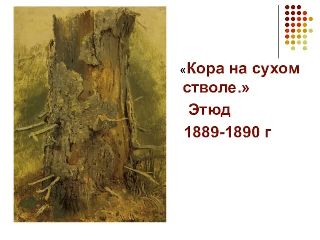 «Кора на сухом стволе.» Этюд 1889-1890 г