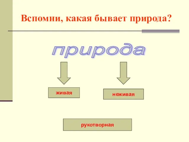 Вспомни, какая бывает природа? природа живая неживая рукотворная