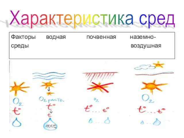 Характеристика сред Факторы водная почвенная наземно- среды воздушная