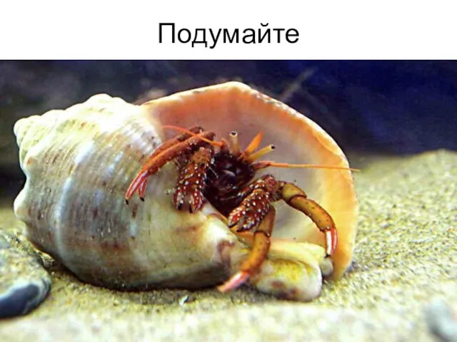 Подумайте