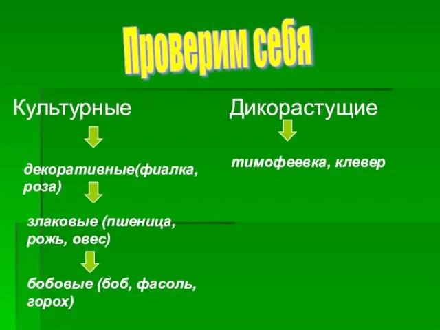 Культурные Дикорастущие Проверим себя тимофеевка, клевер декоративные(фиалка, роза) злаковые (пшеница, рожь, овес) бобовые (боб, фасоль, горох)