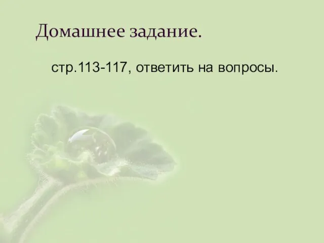 Домашнее задание. стр.113-117, ответить на вопросы.