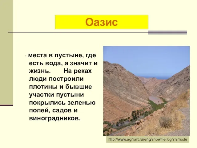 - места в пустыне, где есть вода, а значит и жизнь.