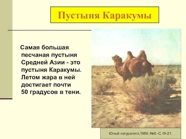 Пустыня Каракумы Самая большая песчаная пустыня Средней Азии - это пустыня