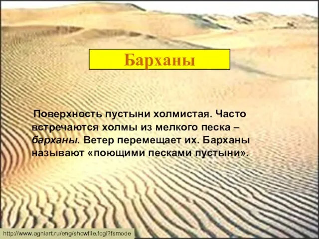 Барханы Поверхность пустыни холмистая. Часто встречаются холмы из мелкого песка –