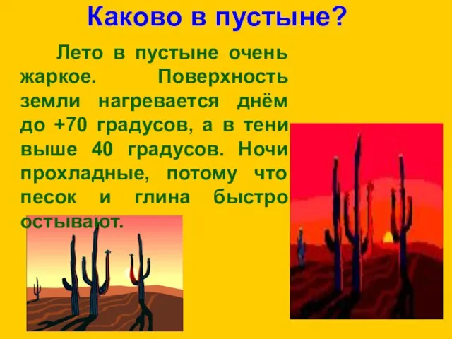 Каково в пустыне? Лето в пустыне очень жаркое. Поверхность земли нагревается