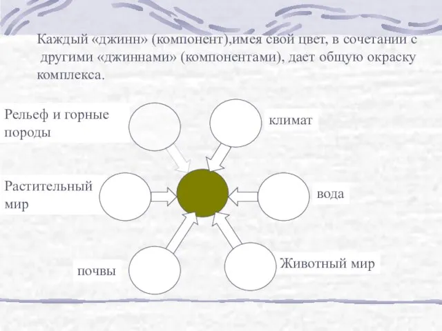 Каждый «джинн» (компонент),имея свой цвет, в сочетании с другими «джиннами» (компонентами), дает общую окраску комплекса.