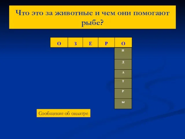 Что это за животные и чем они помогают рыбе? Сообщение об ондатре