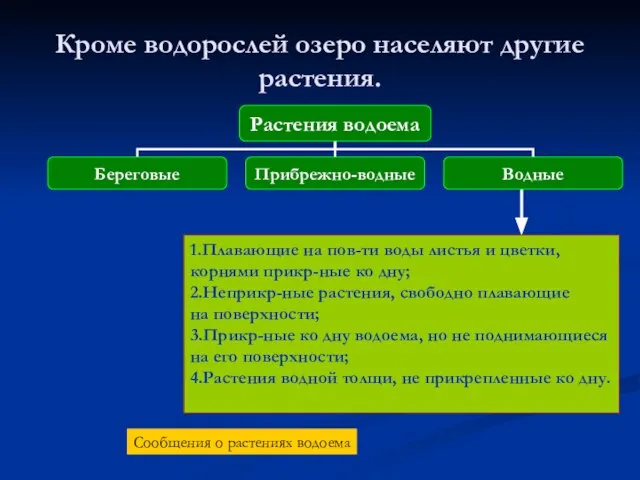 Кроме водорослей озеро населяют другие растения. 1.Плавающие на пов-ти воды листья