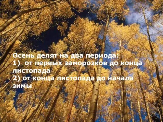 Осень делят на два периода: 1) от первых заморозков до конца