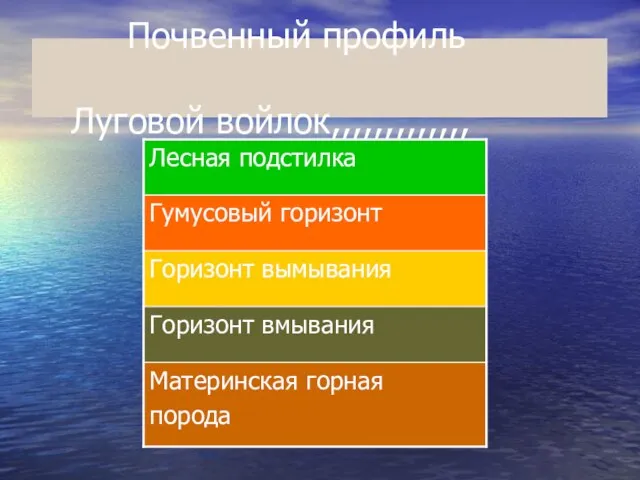 Почвенный профиль Луговой войлок,,,,,,,,,,,,,