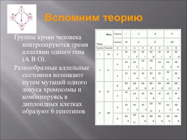 Вспомним теорию Группы крови человека контролируются тремя аллелями одного гена(А В