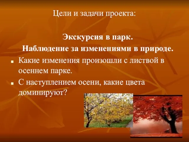 Цели и задачи проекта: Экскурсия в парк. Наблюдение за изменениями в