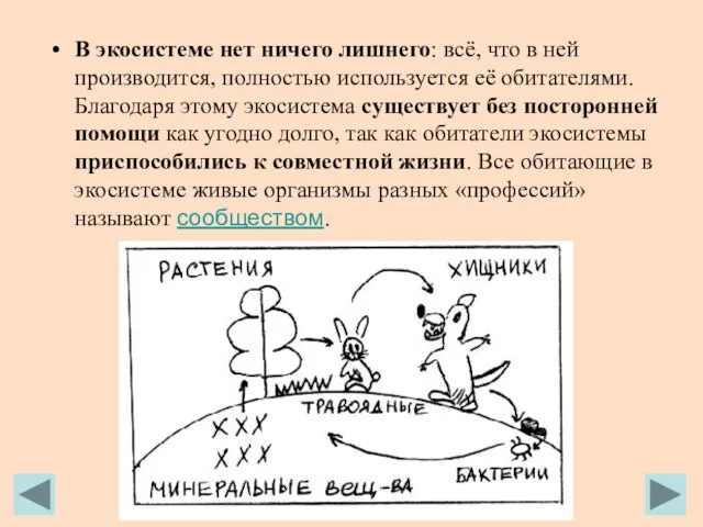 В экосистеме нет ничего лишнего: всё, что в ней производится, полностью