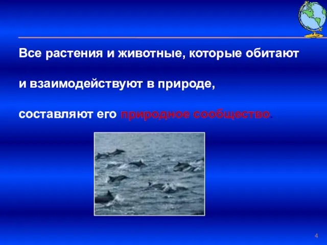 Все растения и животные, которые обитают и взаимодействуют в природе, составляют его природное сообщество.