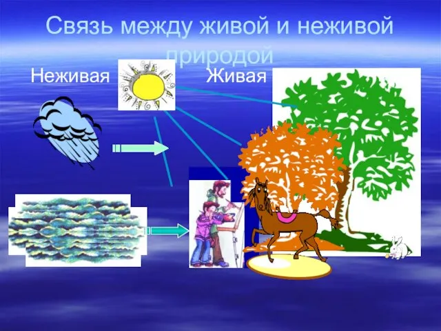 Связь между живой и неживой природой Неживая Живая