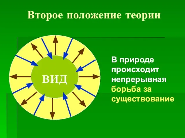 Второе положение теории вид В природе происходит непрерывная борьба за существование