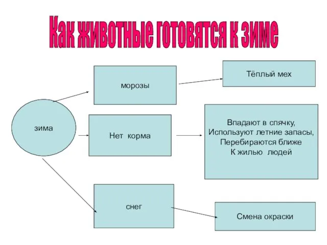 Как животные готовятся к зиме зима морозы Нет корма снег Тёплый