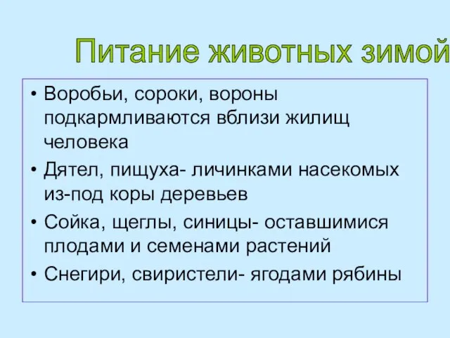 Воробьи, сороки, вороны подкармливаются вблизи жилищ человека Дятел, пищуха- личинками насекомых