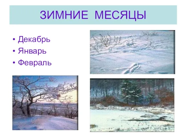 ЗИМНИЕ МЕСЯЦЫ Декабрь Январь Февраль