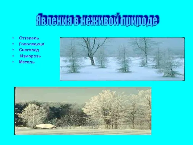 Явления в неивой природе Оттепель Гололедица Снегопад Изморозь Метель Явления в неживой природе