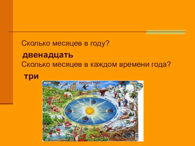 Сколько месяцев в году? Сколько месяцев в каждом времени года? двенадцать три