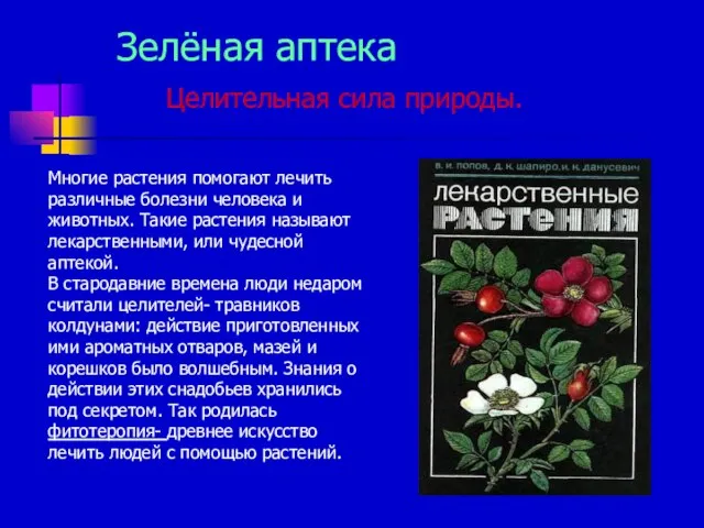 Зелёная аптека Целительная сила природы. Многие растения помогают лечить различные болезни