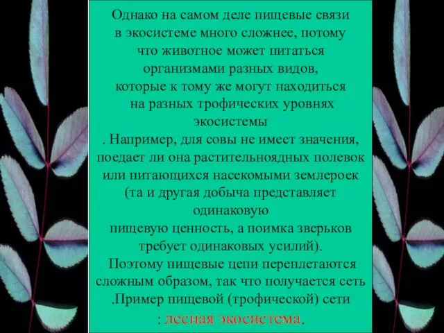 Однако на самом деле пищевые связи в экосистеме много сложнее, потому