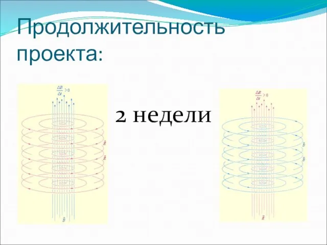 Продолжительность проекта: 2 недели