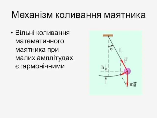 Механізм коливання маятника Вільні коливання математичного маятника при малих амплітудах є гармонічними