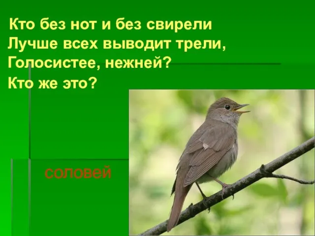 Кто без нот и без свирели Лучше всех выводит трели, Голосистее, нежней? Кто же это? соловей