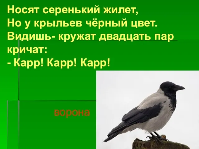 Носят серенький жилет, Но у крыльев чёрный цвет. Видишь- кружат двадцать