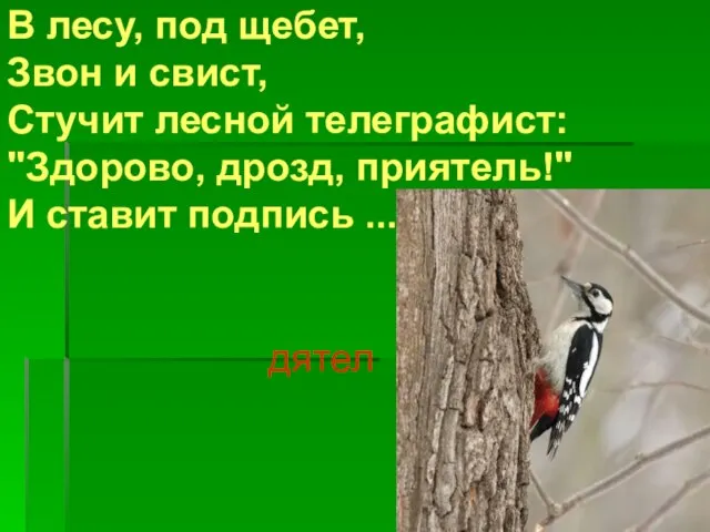 В лесу, под щебет, Звон и свист, Стучит лесной телеграфист: "Здорово,