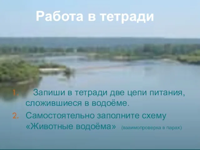 Работа в тетради Запиши в тетради две цепи питания, сложившиеся в