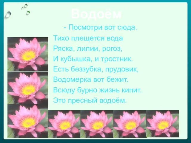 Водоём - Посмотри вот сюда. Тихо плещется вода Ряска, лилии, рогоз,